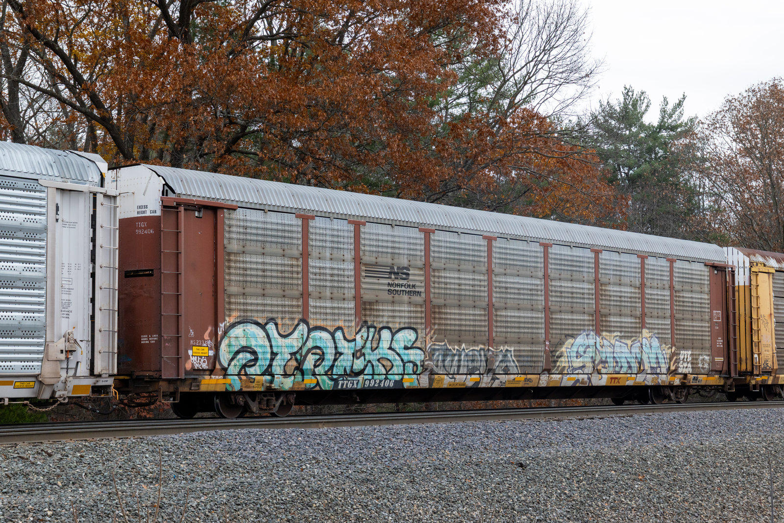 TTGX 992406