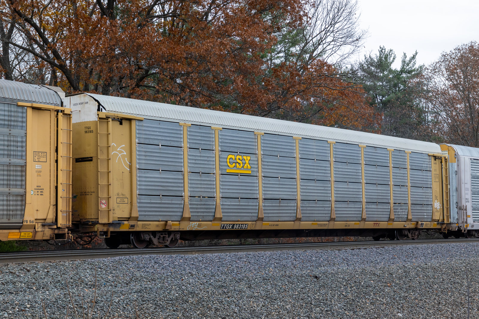 TTGX 983185