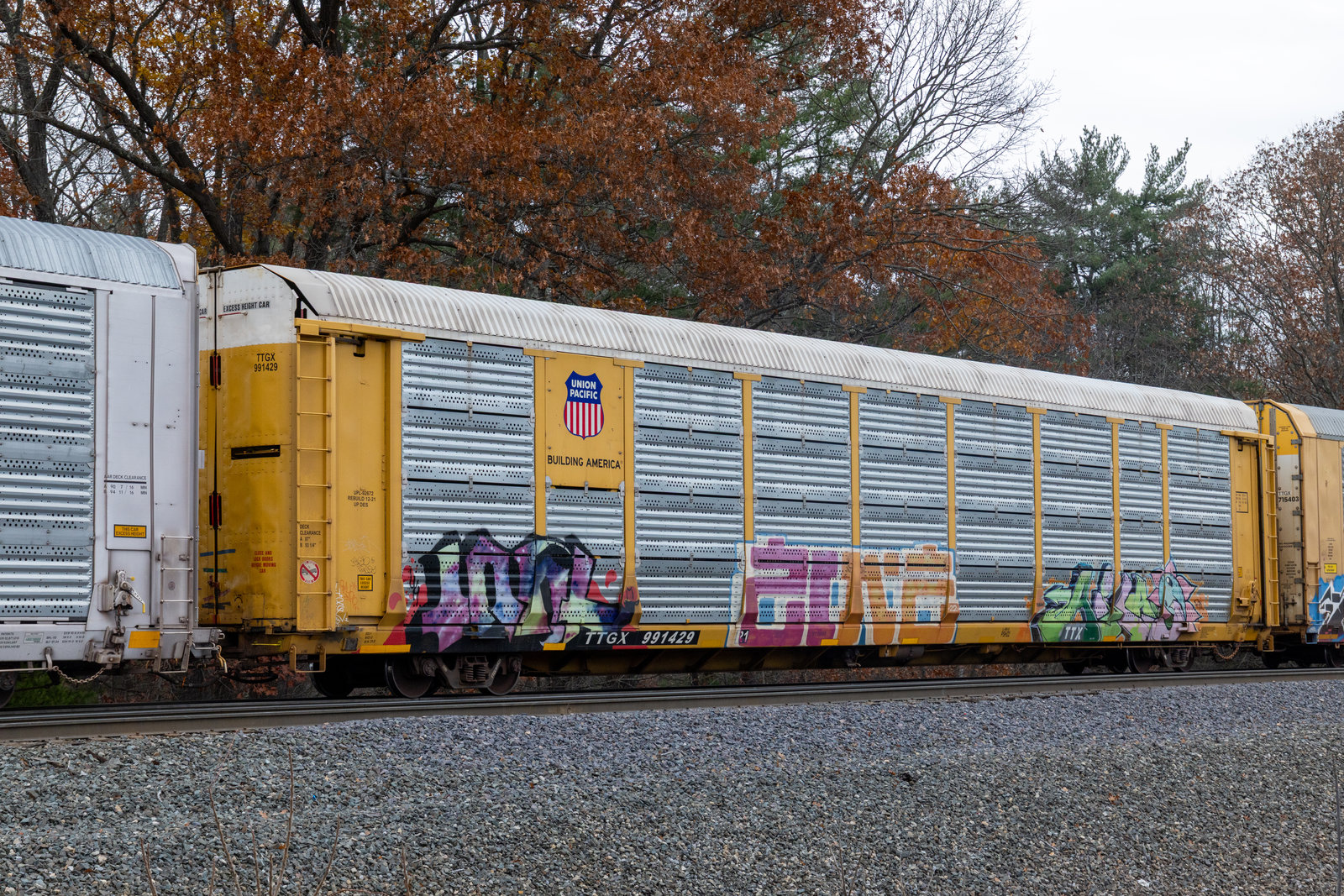 TTGX 991429