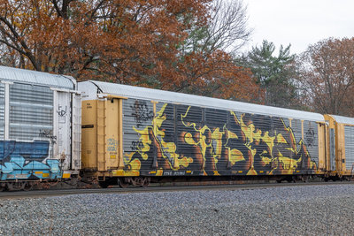 TTGX 971995