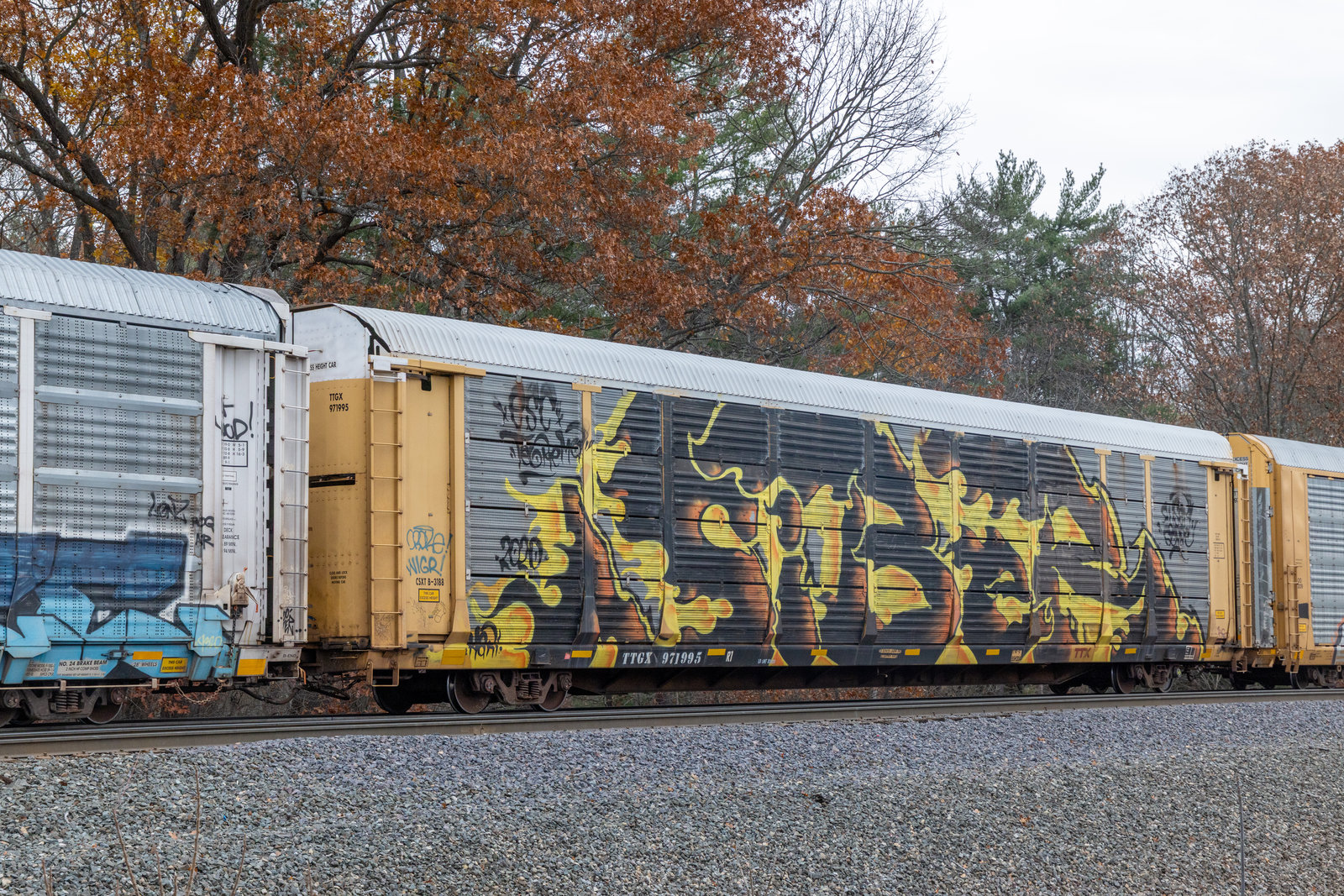 TTGX 971995
