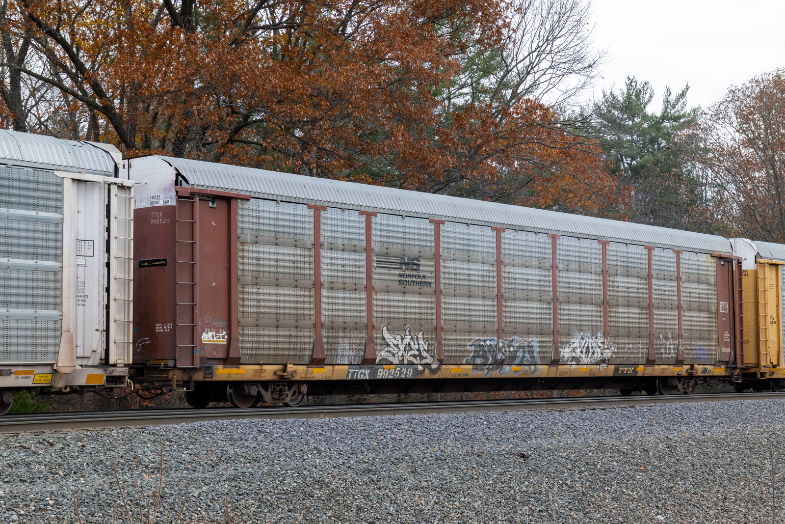 TTGX 992529