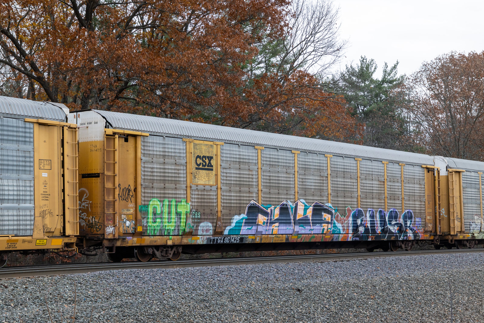 TTGX 961425