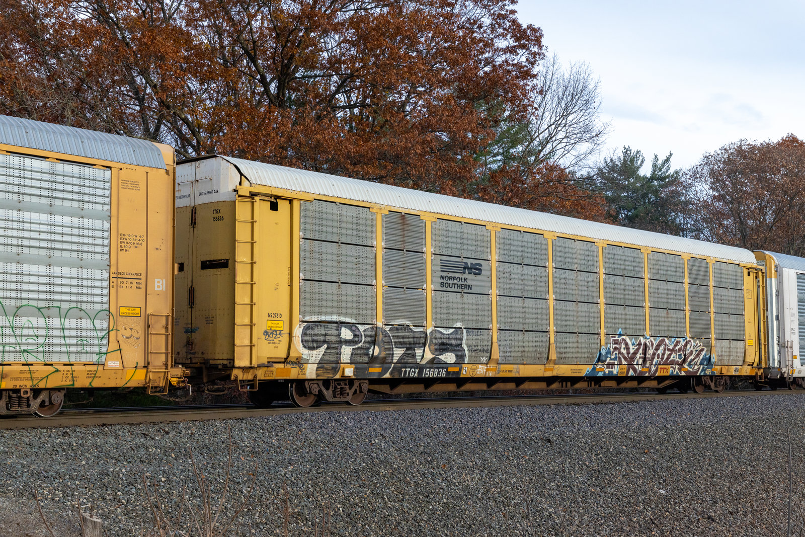 TTGX 156836