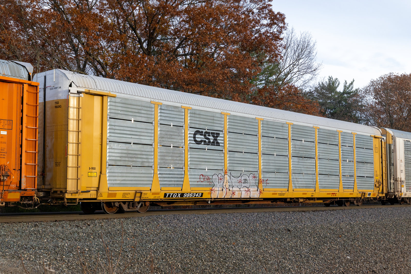 TTGX 986343