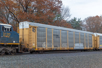 TTGX 988297