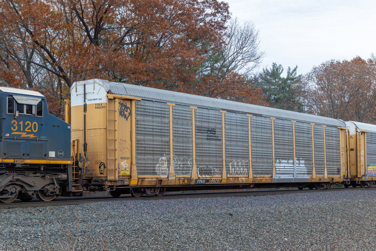 TTGX 988297
