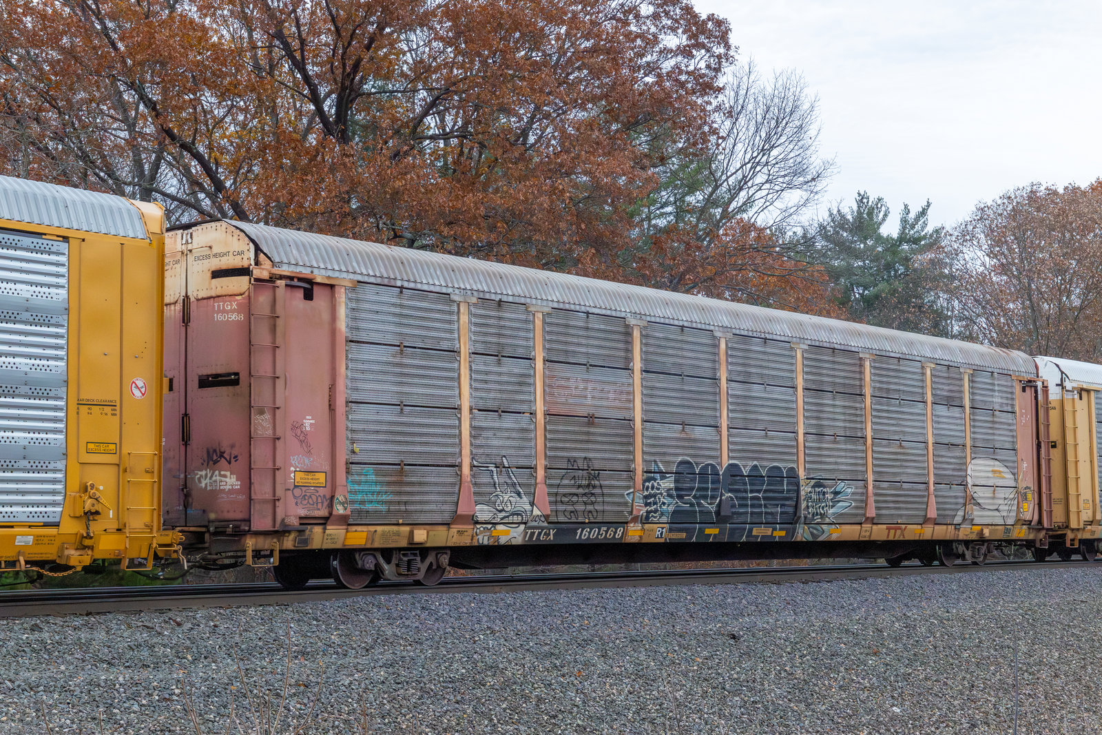 TTGX 160568