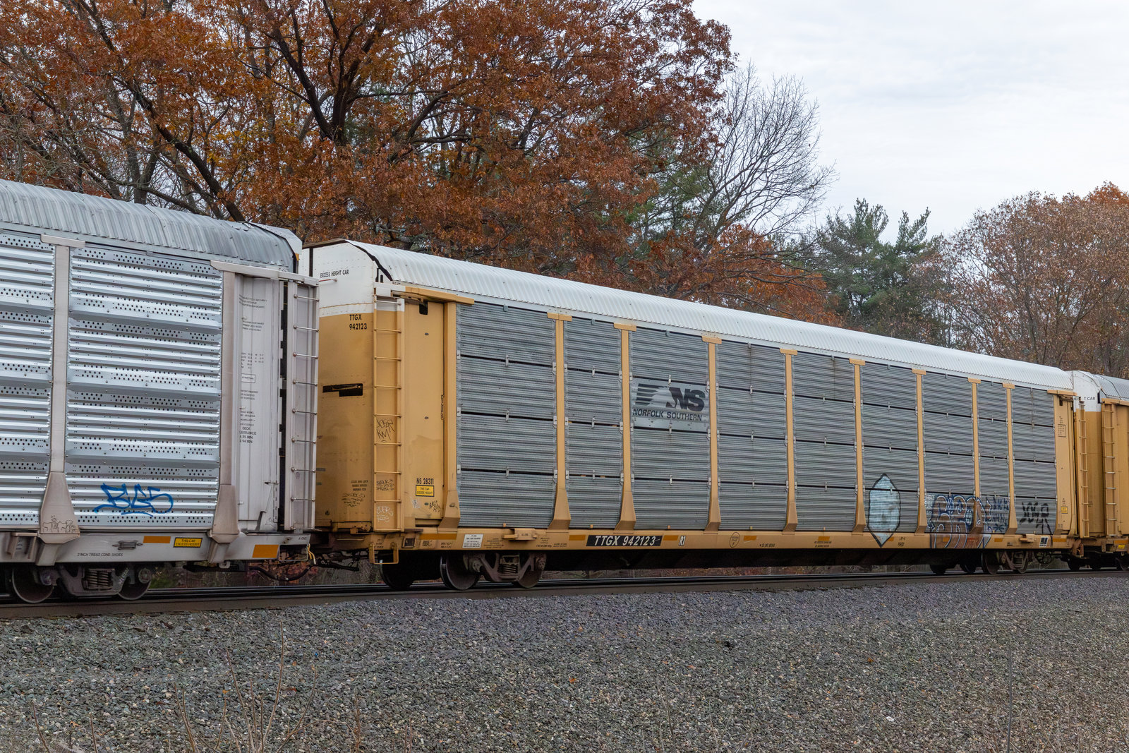 TTGX 942123