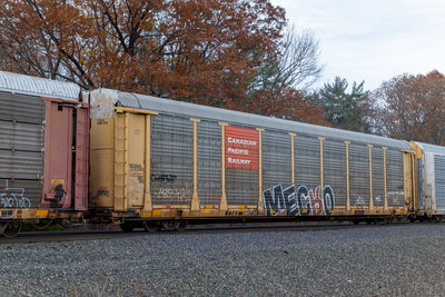 TTGX 988734