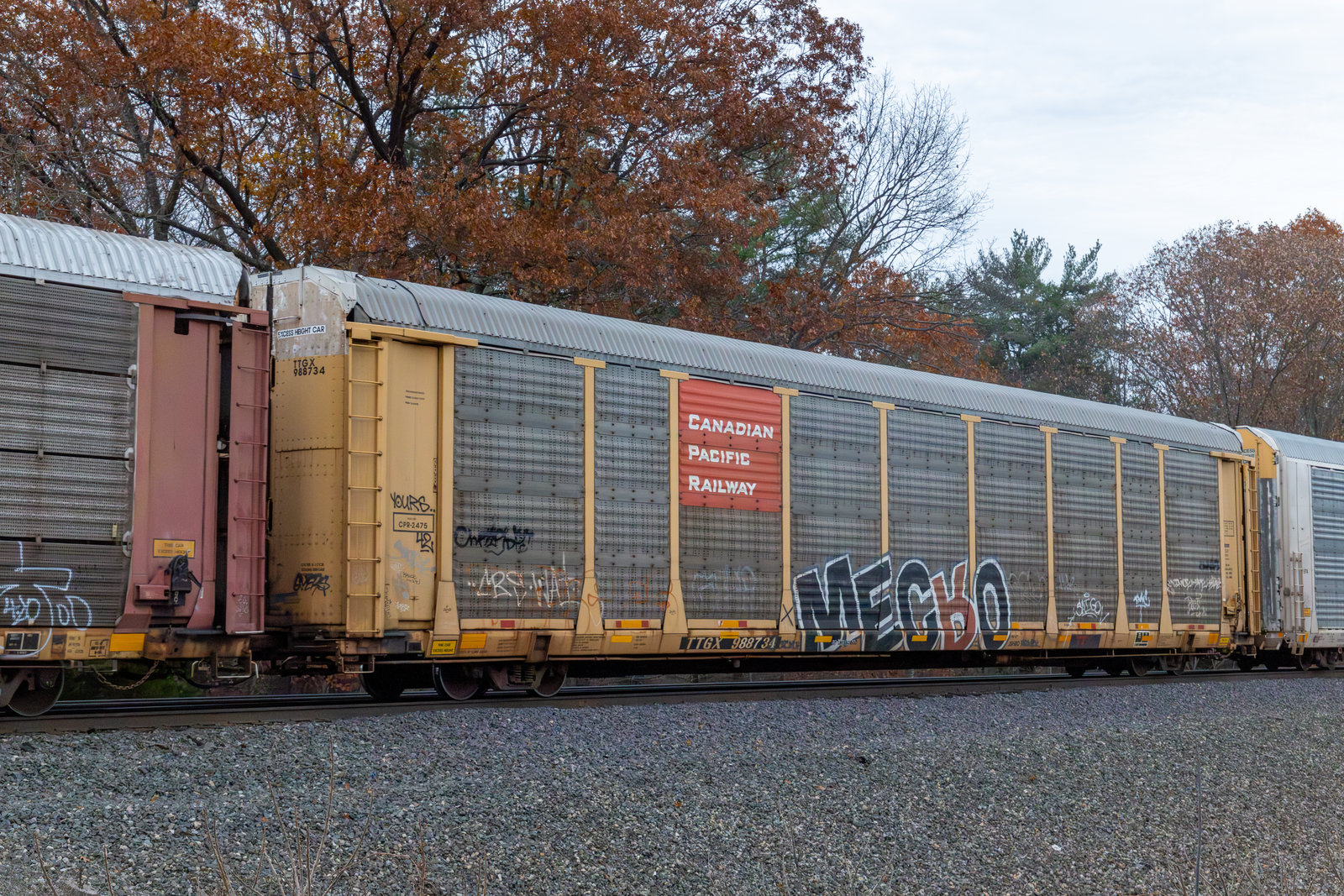 TTGX 988734