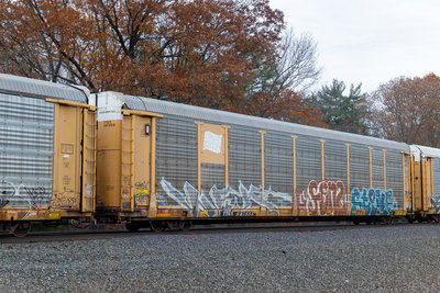 TTGX 987555