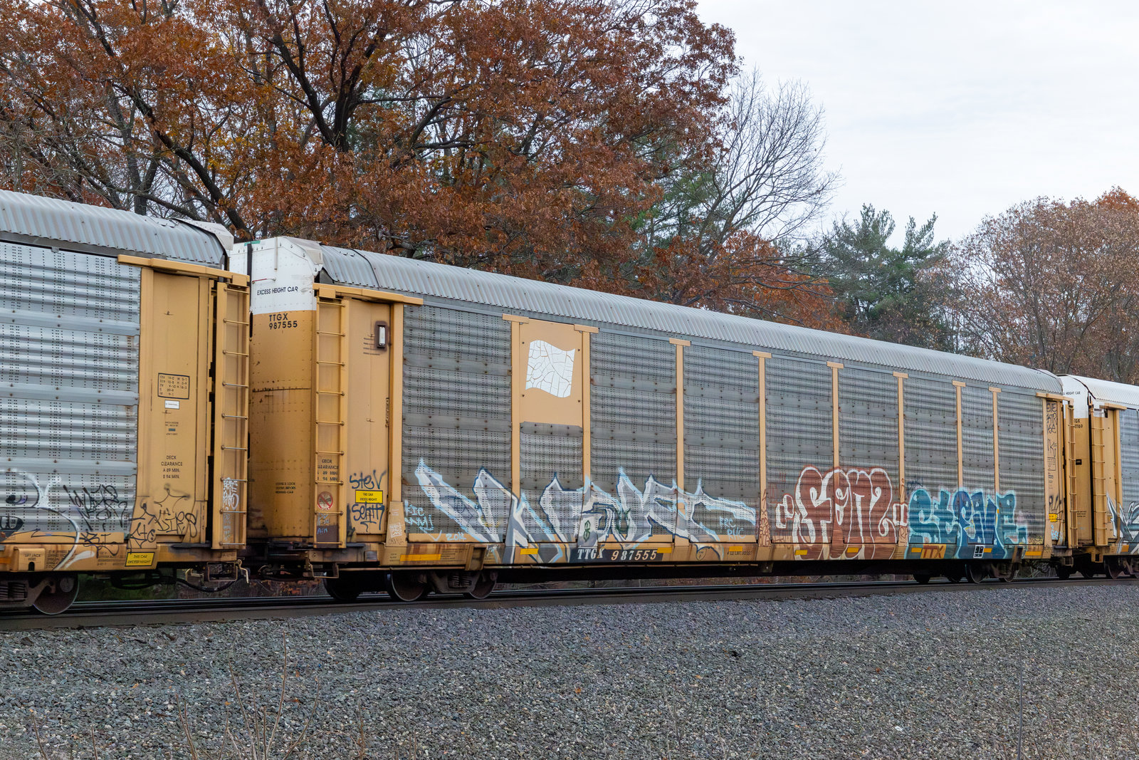 TTGX 987555