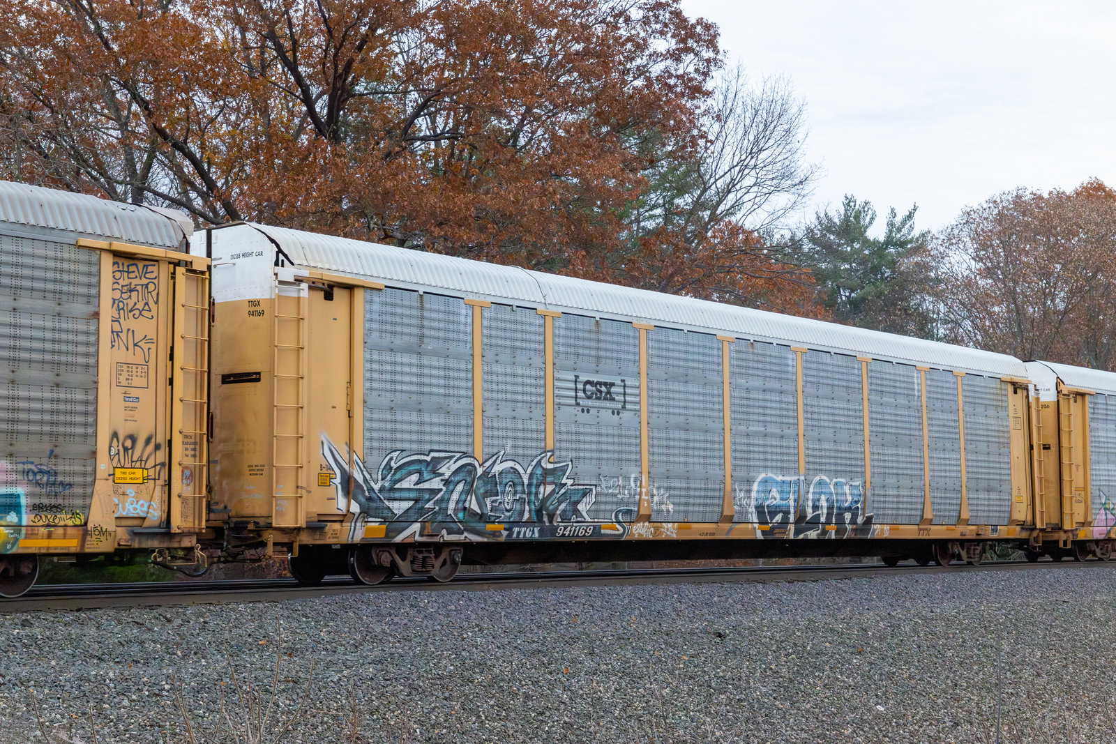 TTGX 941169