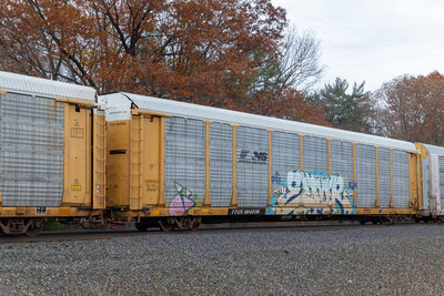 TTGX 964236