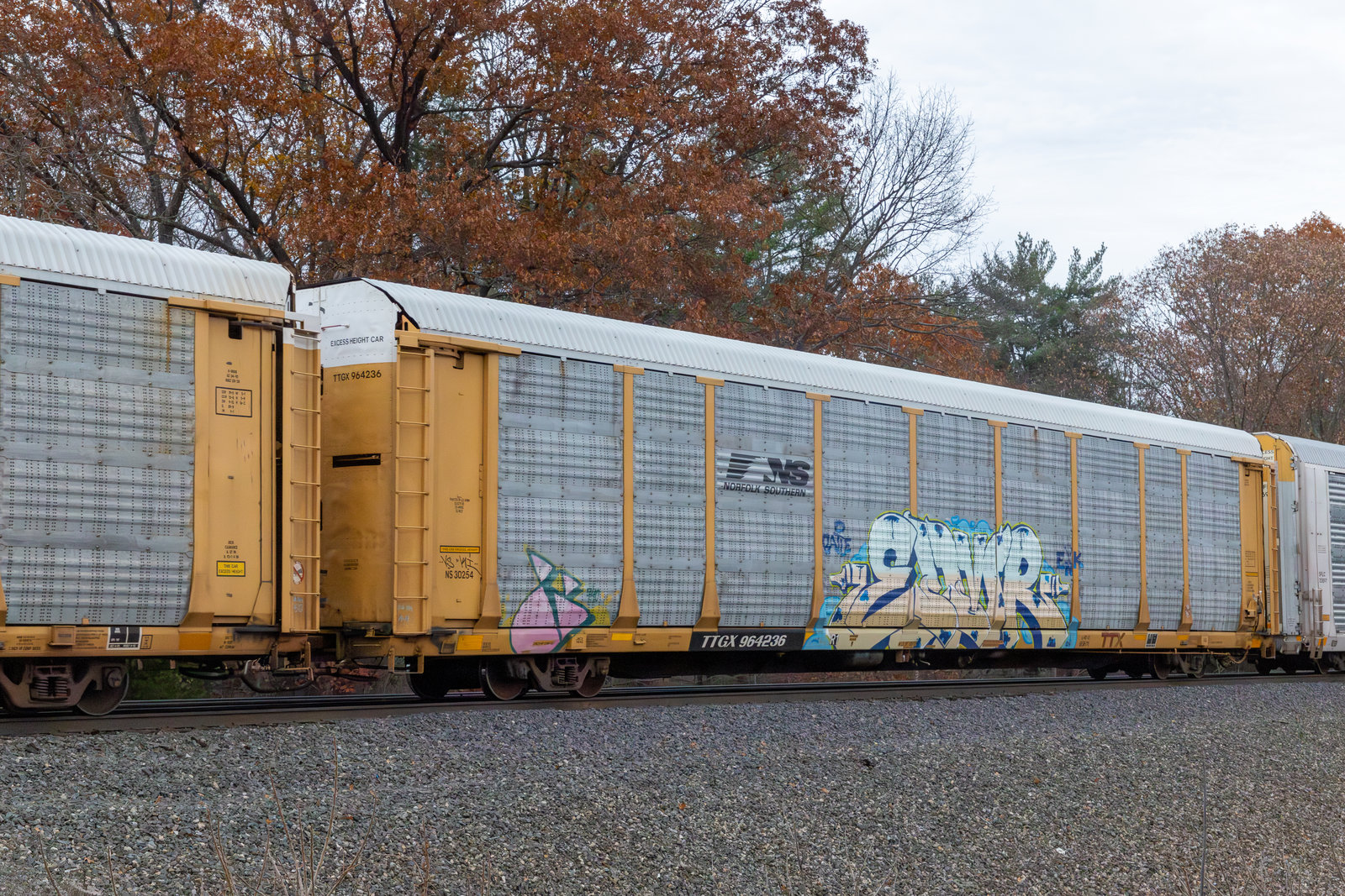 TTGX 964236