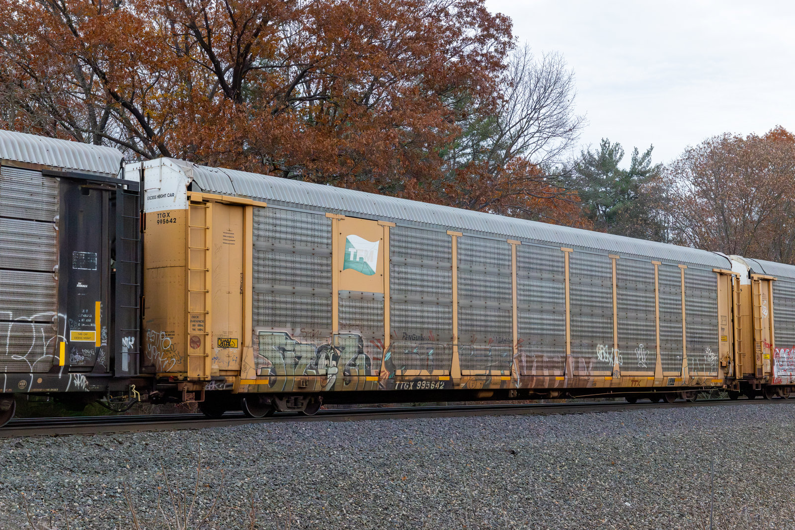 TTGX 995642