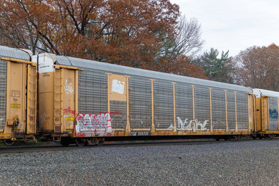 TTGX 994735