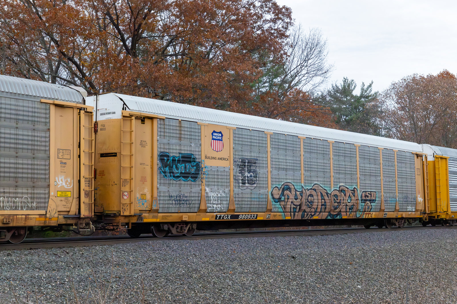 TTGX 980933