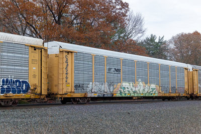 TTGX 982887