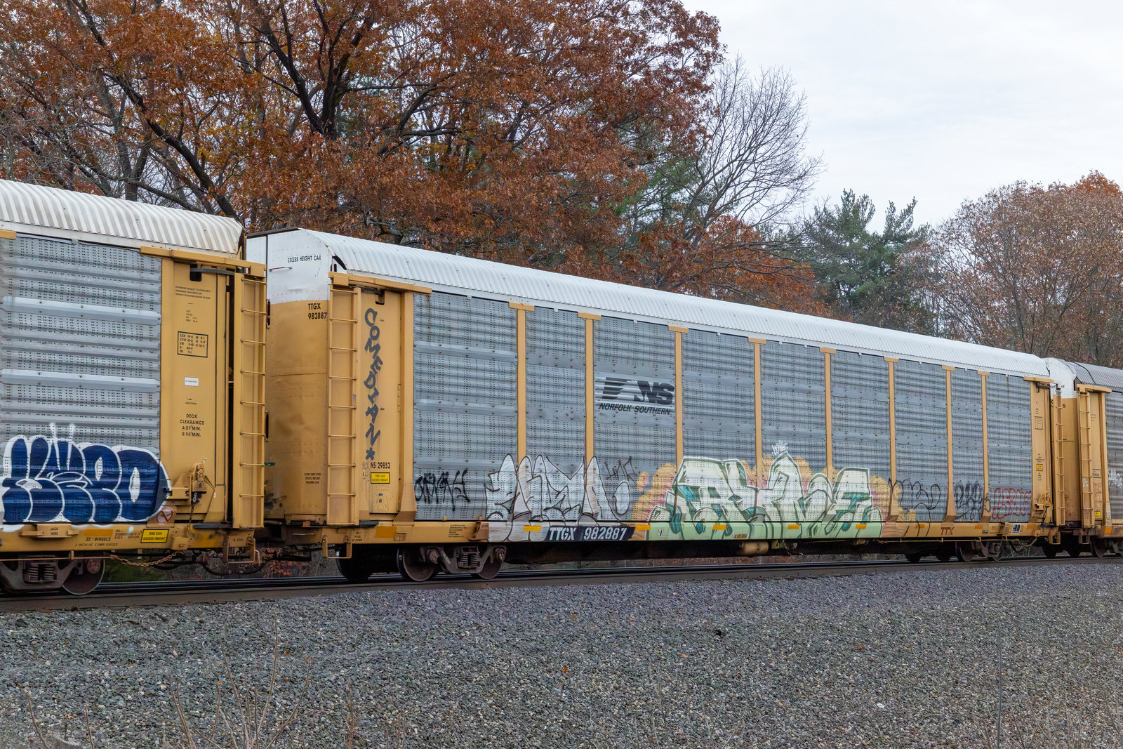 TTGX 982887