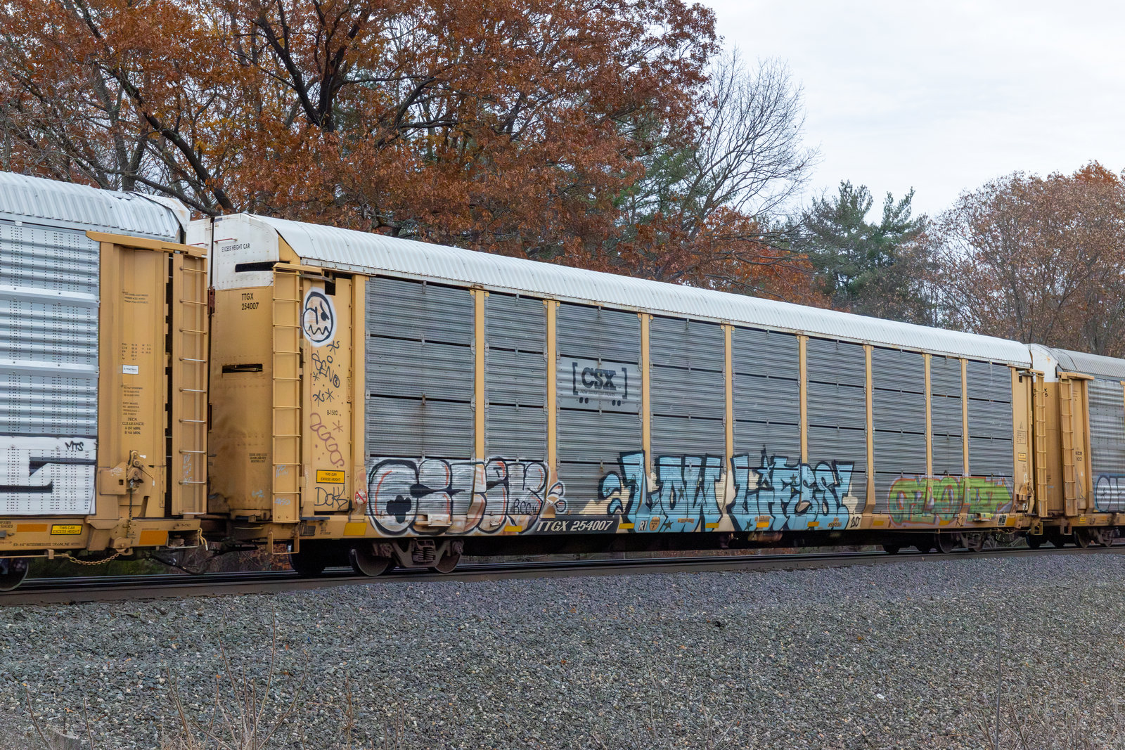 TTGX 254007