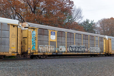 TTGX 942847