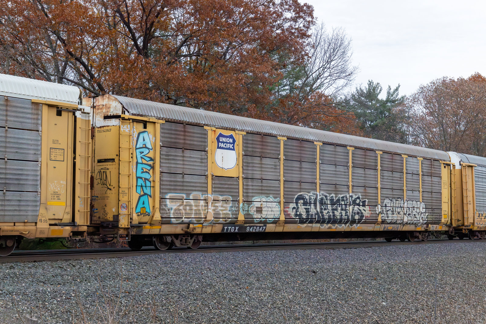 TTGX 942847