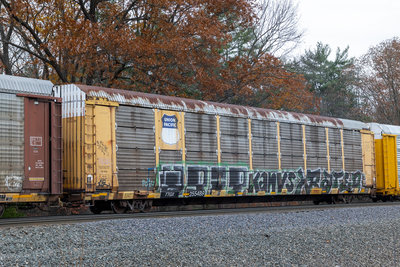 TTGX 255489