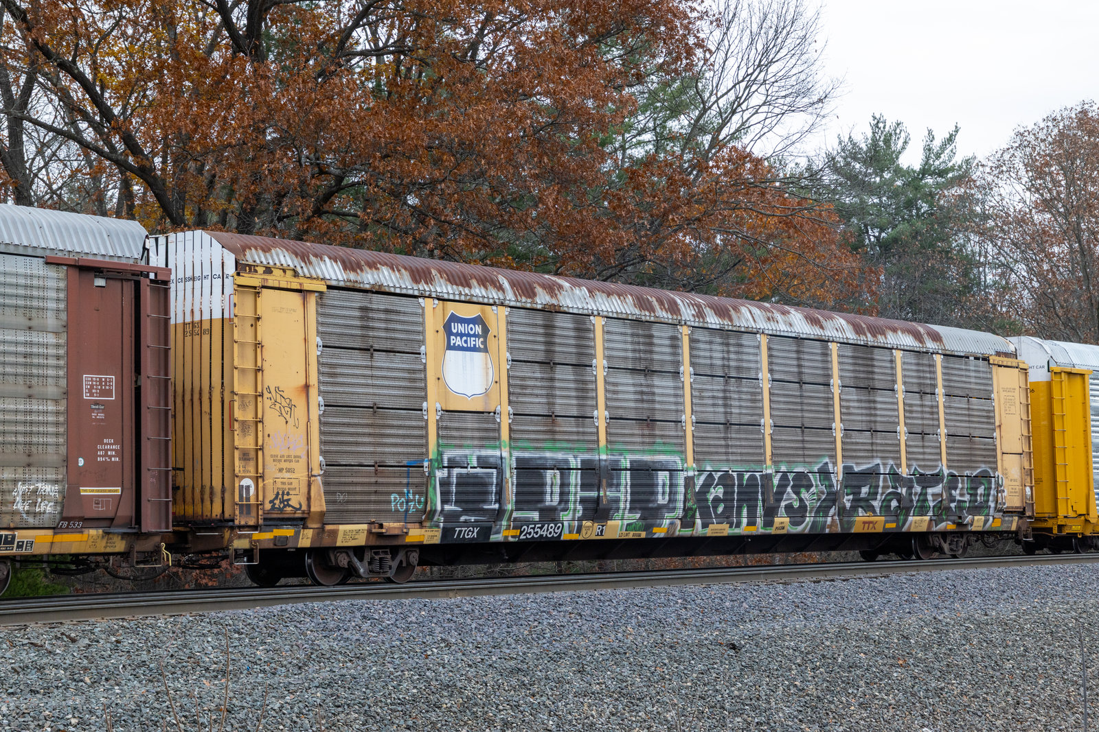 TTGX 255489