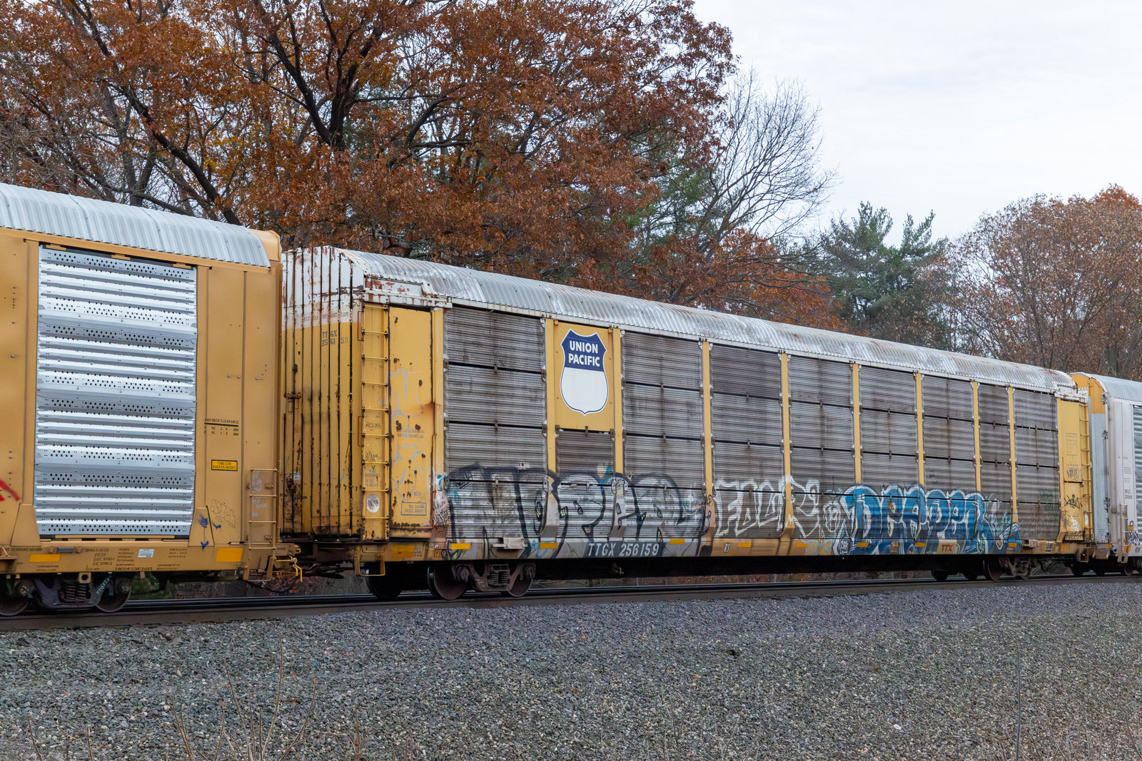 TTGX 256159