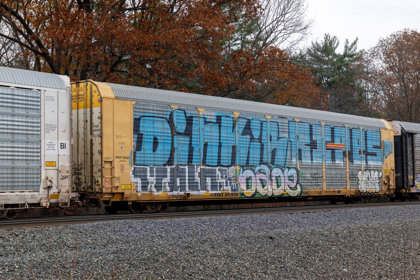 TTGX 967020