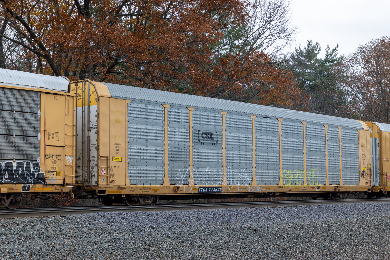 TTGX 715806