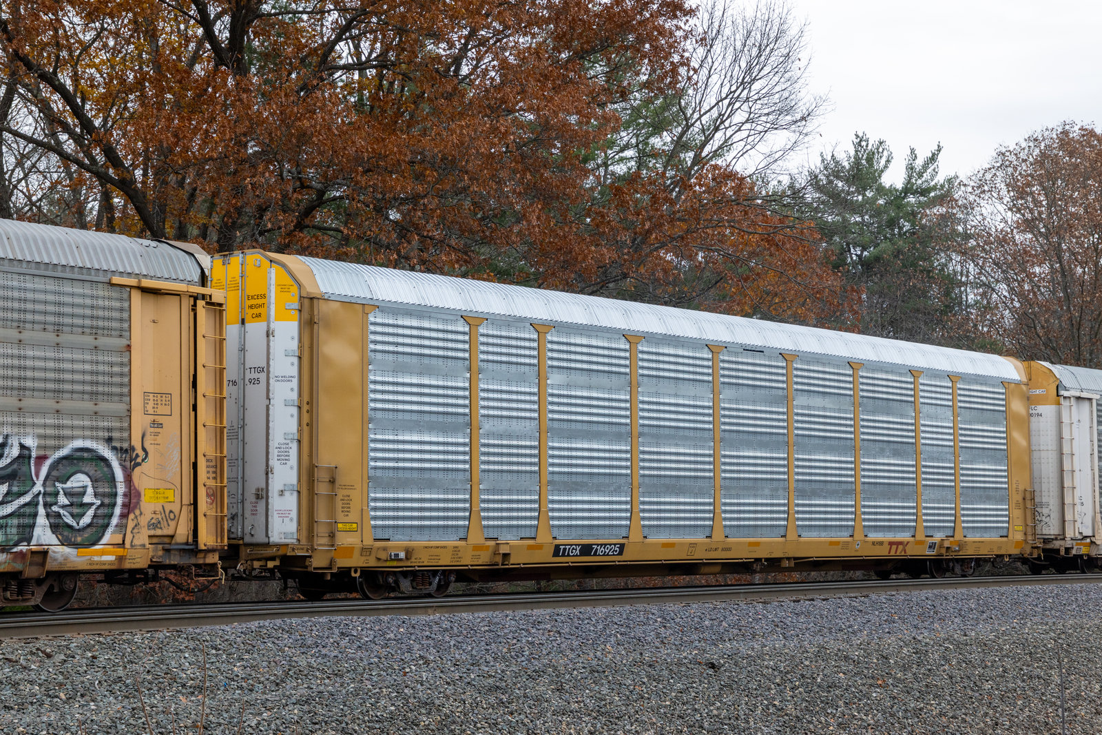 TTGX 716925