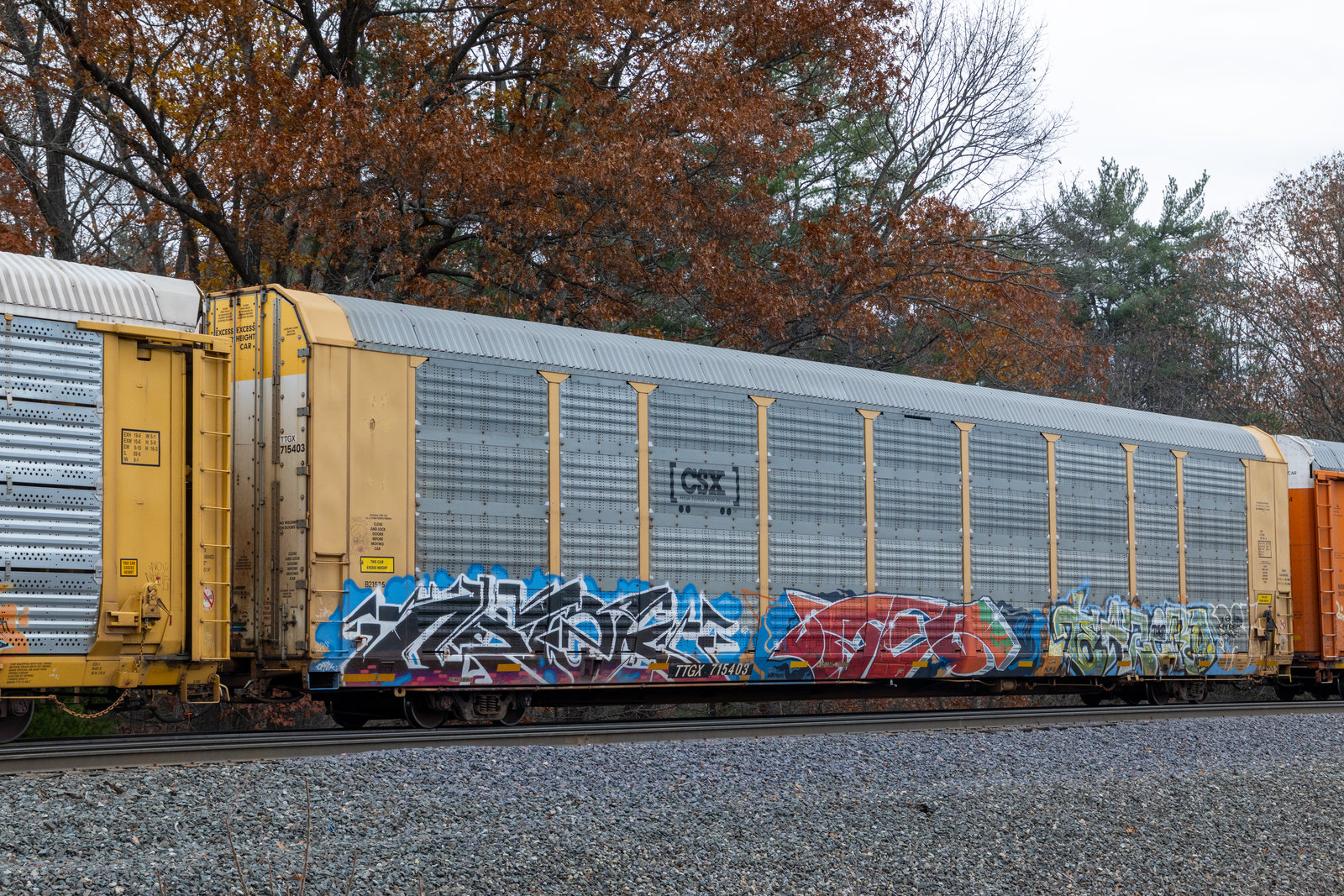 TTGX 715403