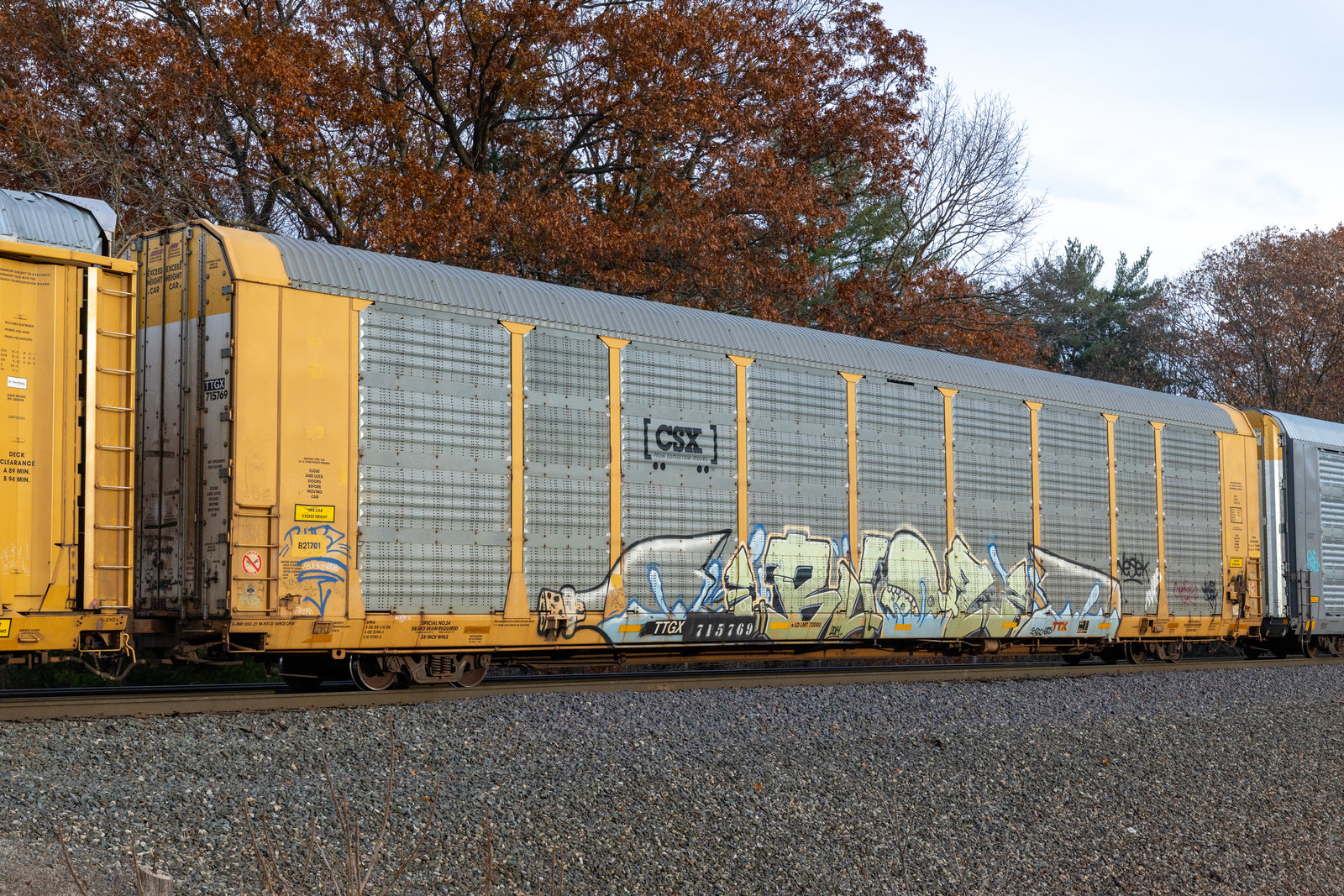 TTGX 715769