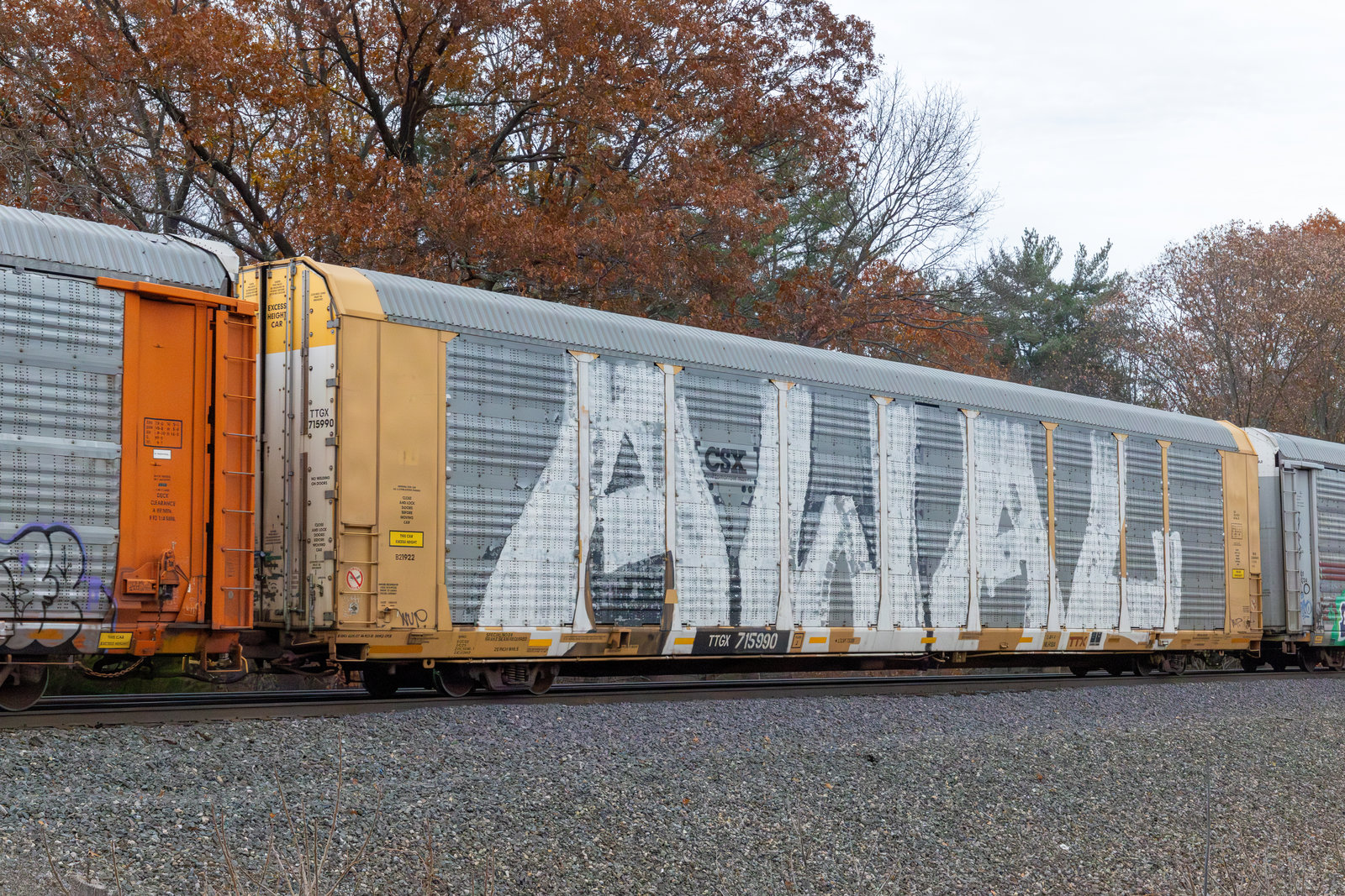 TTGX 715990