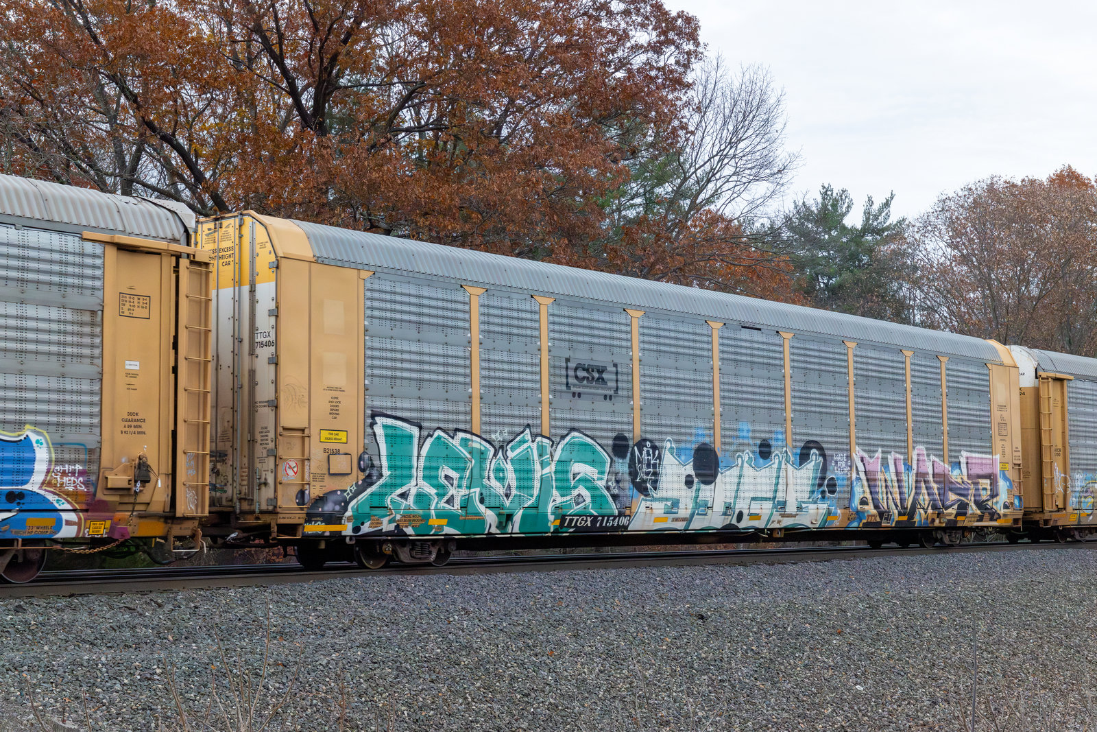 TTGX 715406