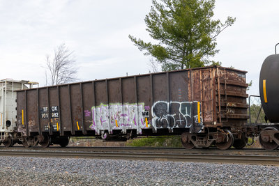 TFOX 101982