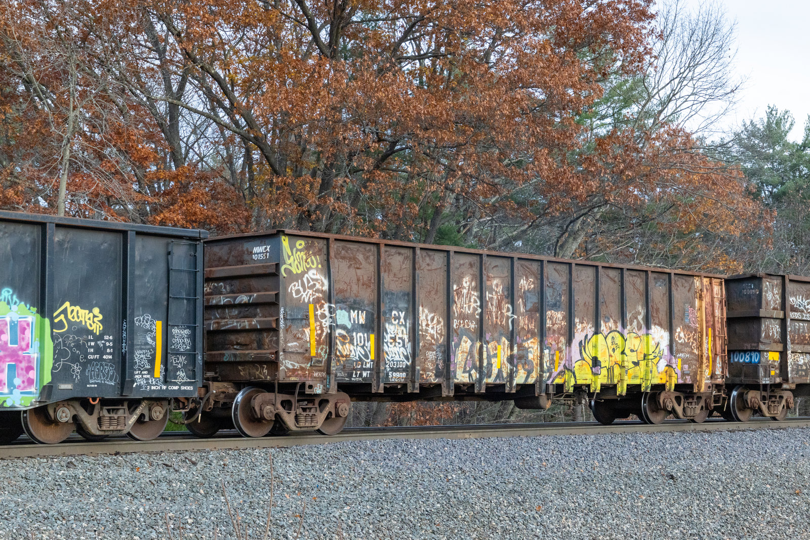 MWCX 101551