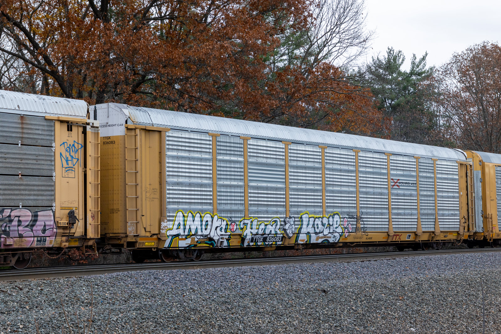 TTGX 836083