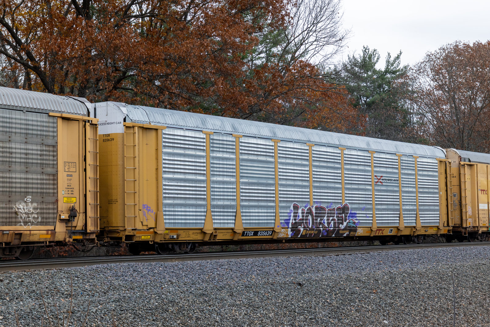 TTGX 835639