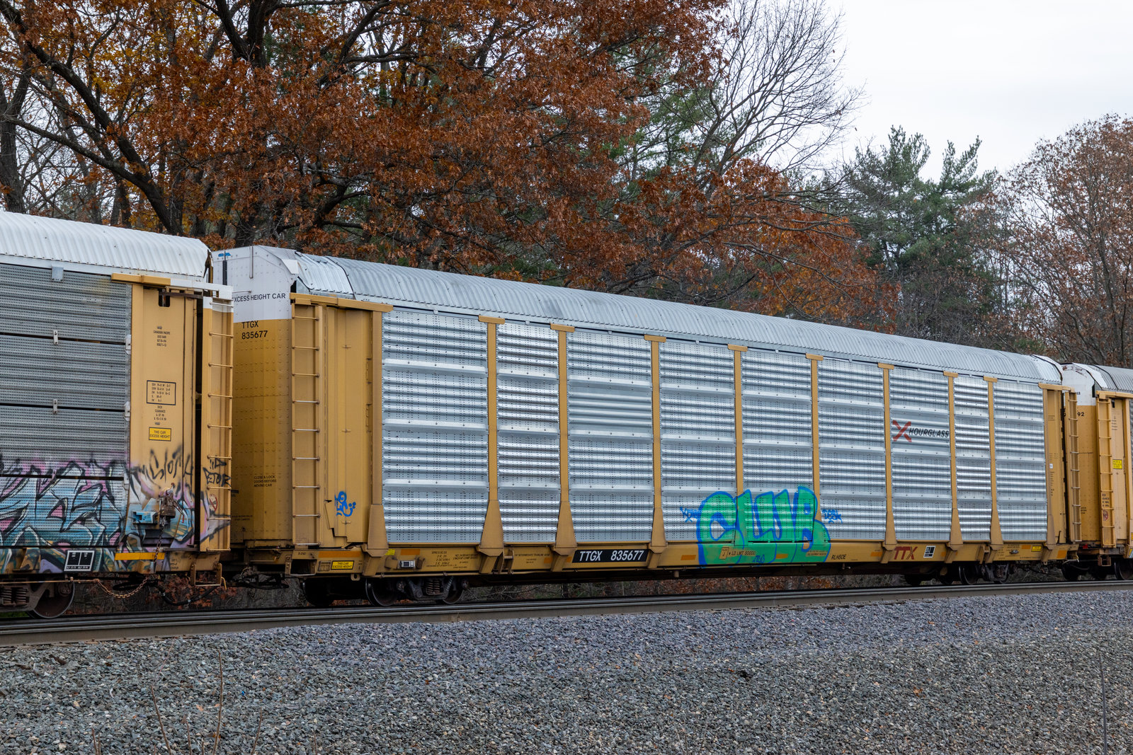 TTGX 835677