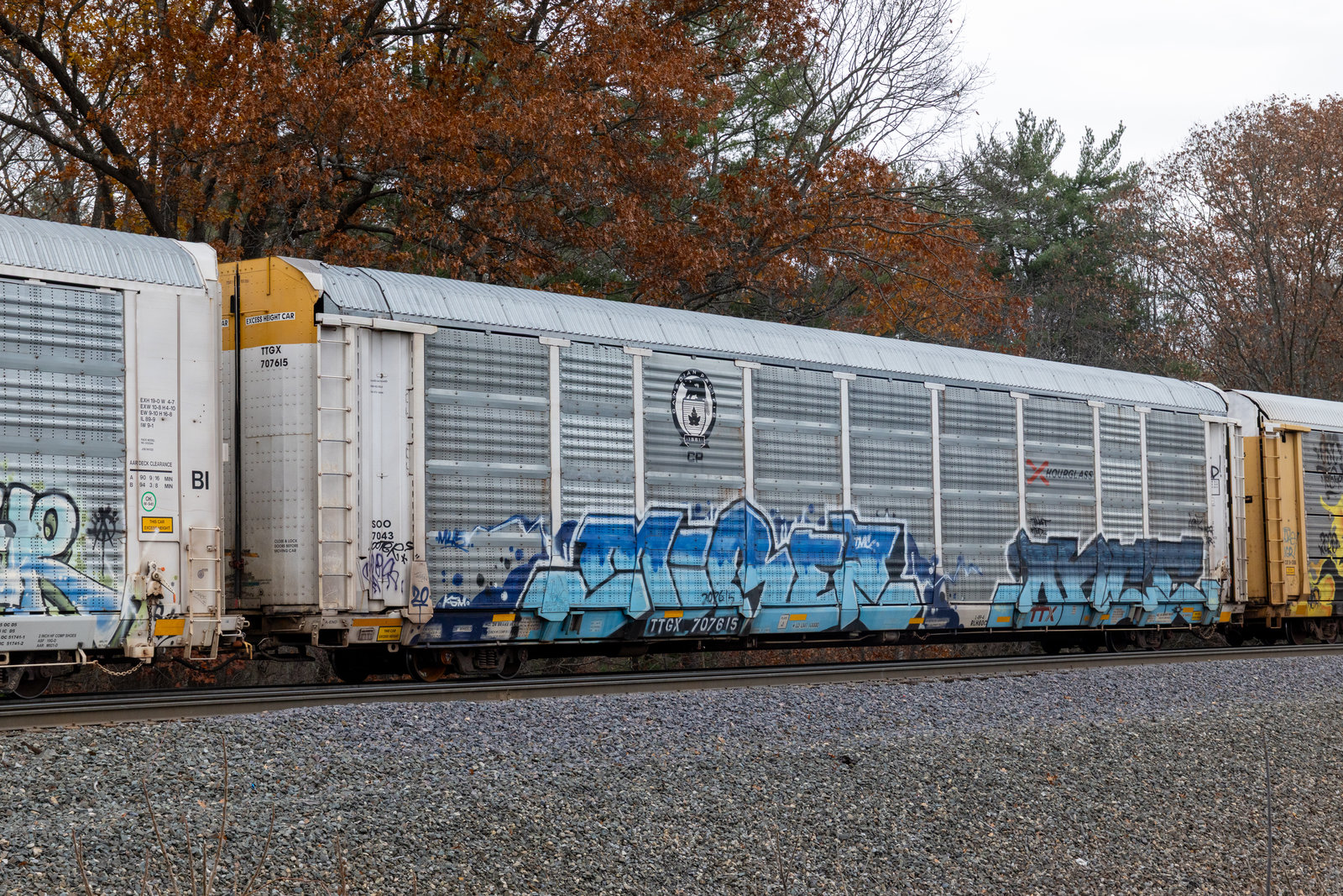 TTGX 707615