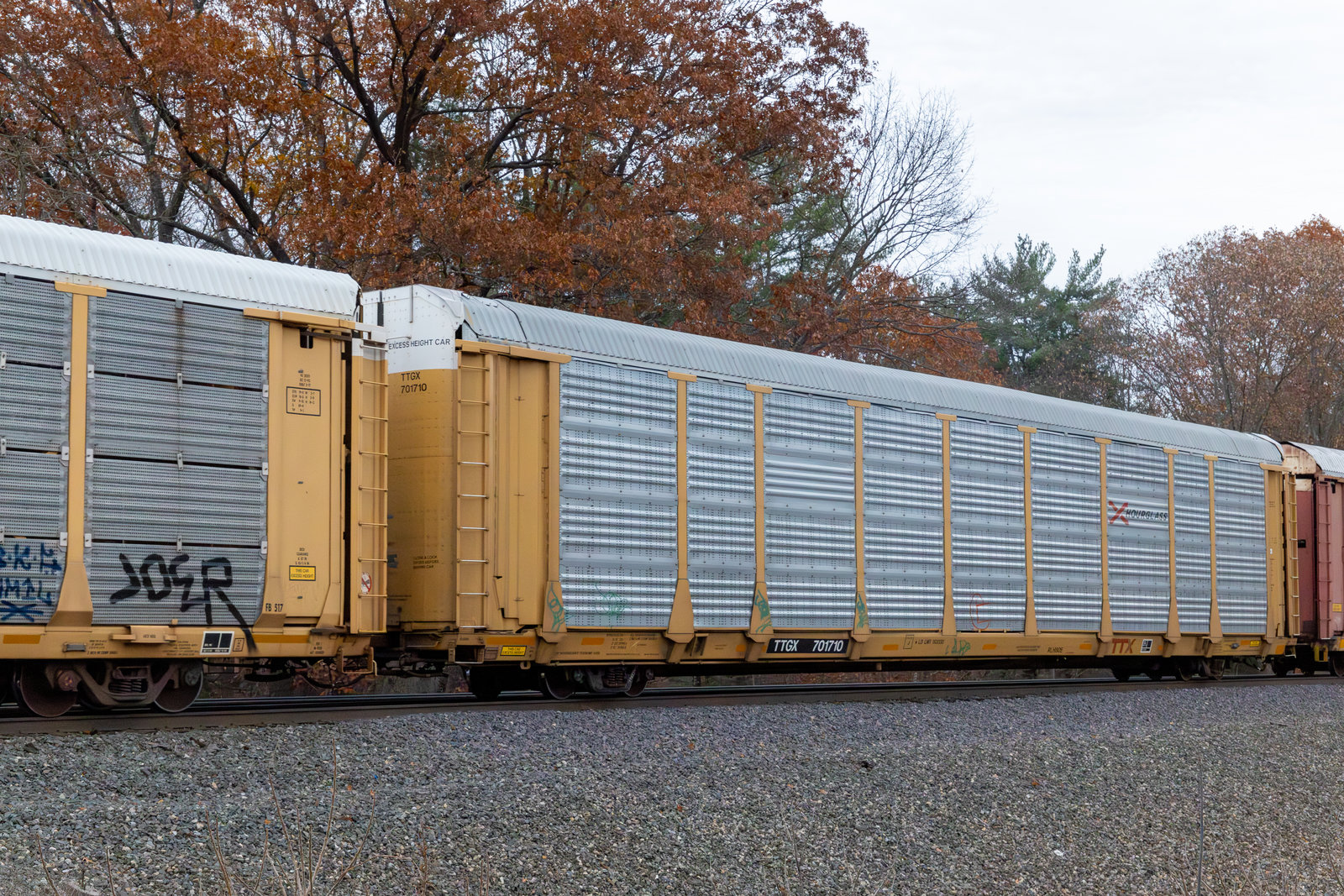 TTGX 701710