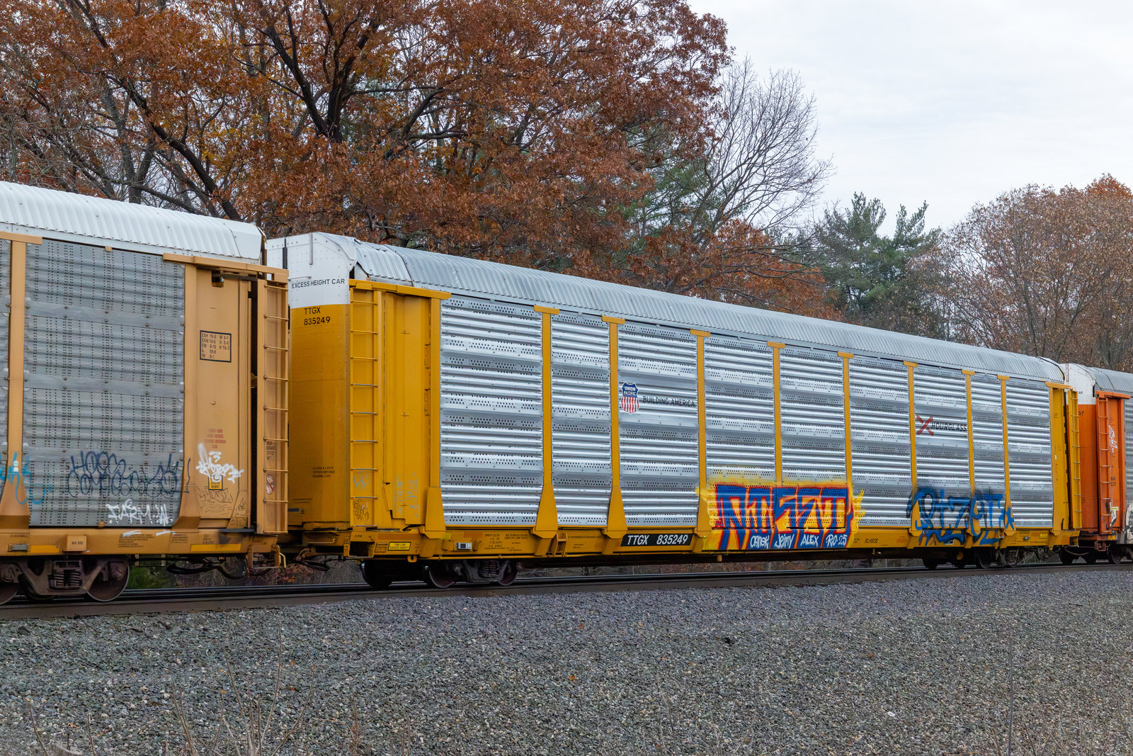 TTGX 835249