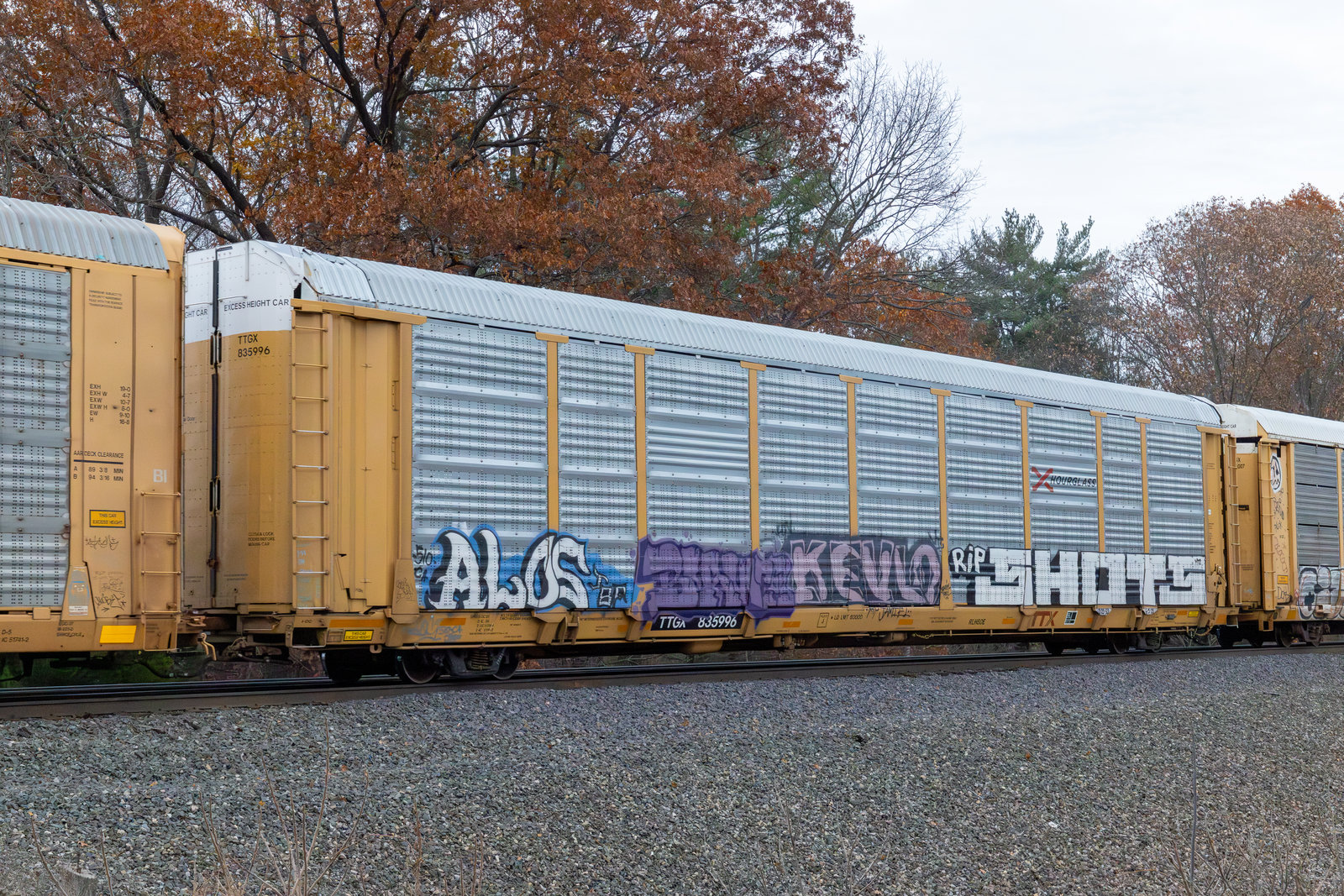 TTGX 835996