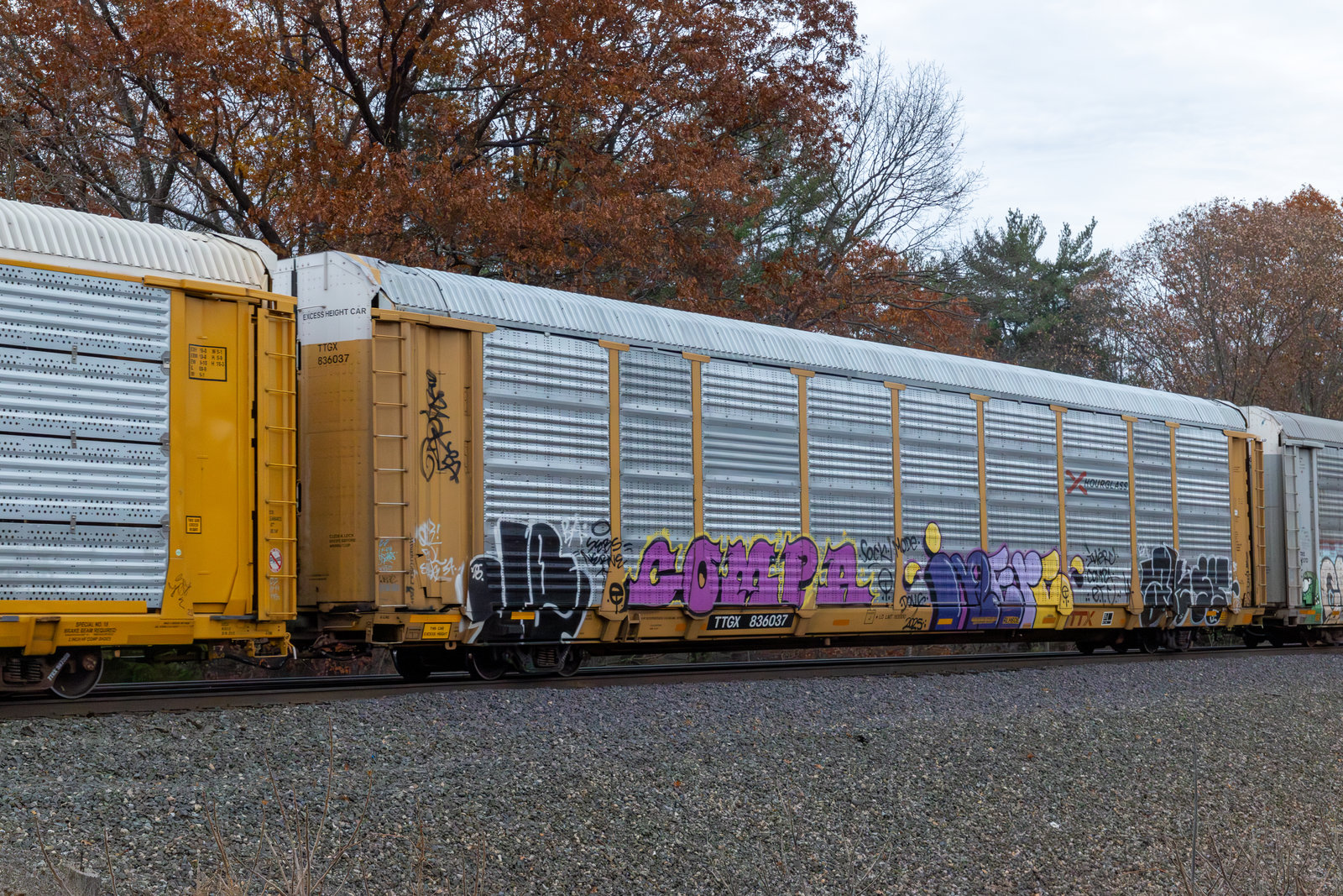 TTGX 836037