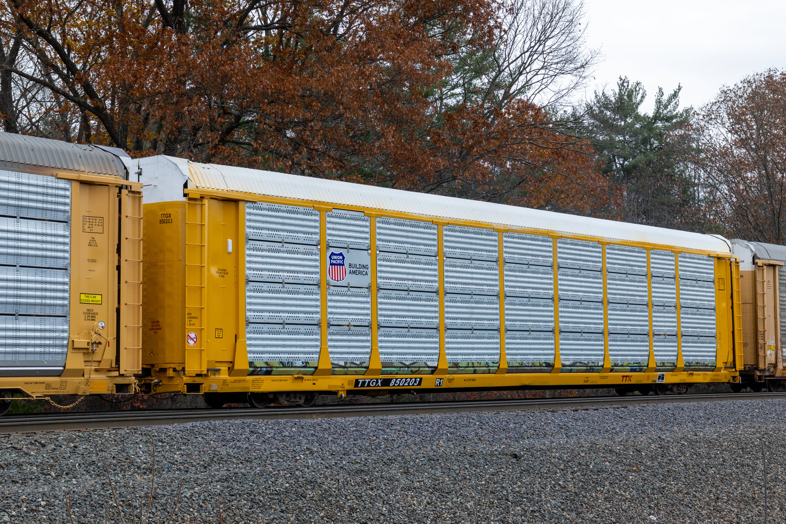 TTGX 850203