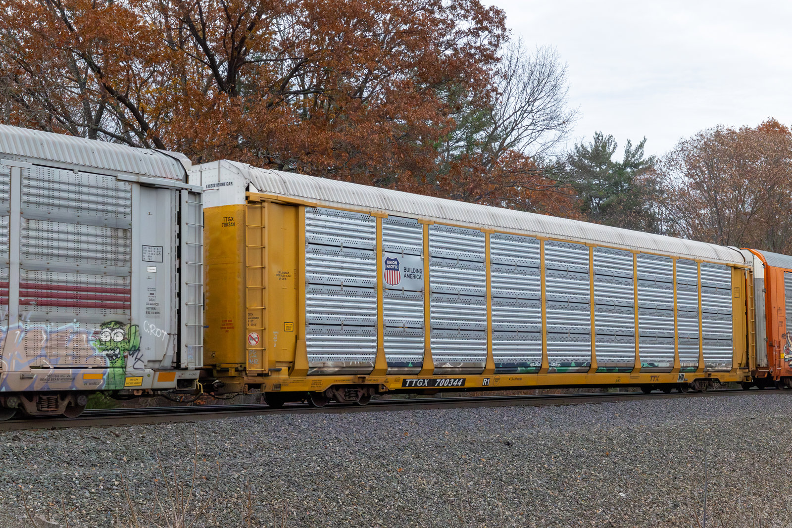 TTGX 700344
